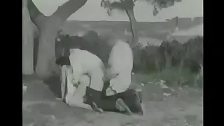 Bissexual group sex&excl; &lpar;20s porn&rpar; 2