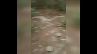 Pelado no mato